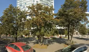 Фотография Бюро маркетинга Прямая Выгода 5