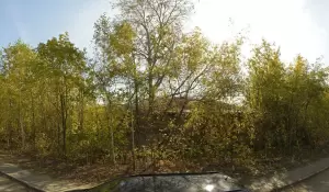 Фотография Пегас 2